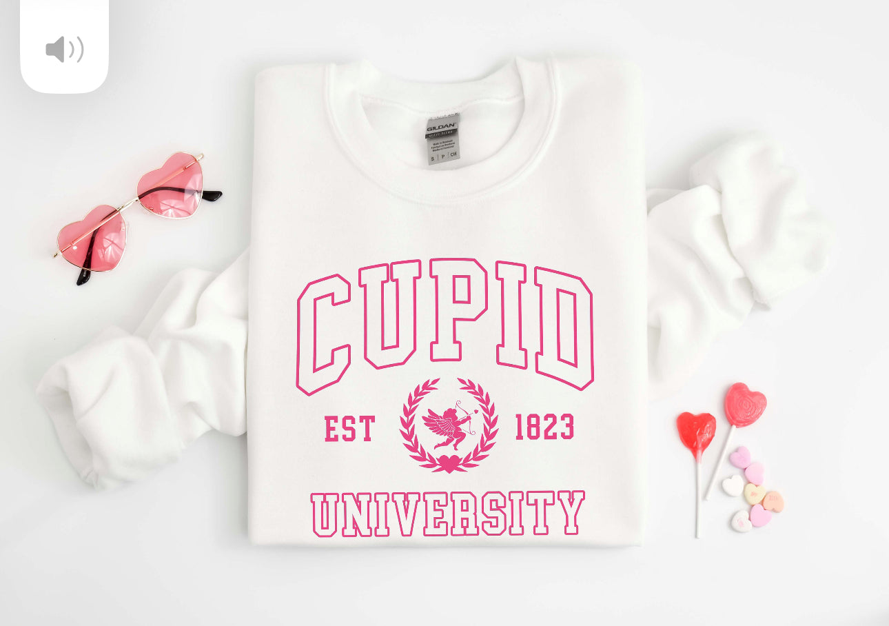 Cupid University Crew Neck Sweaters